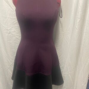 Calvin Klein Purple and Black Mini Dress